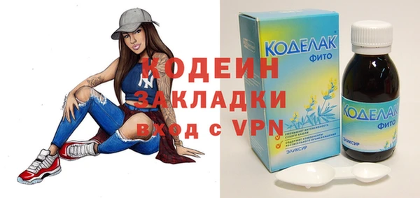 индика Новозыбков